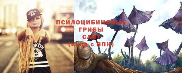 эйфоретик Алексин