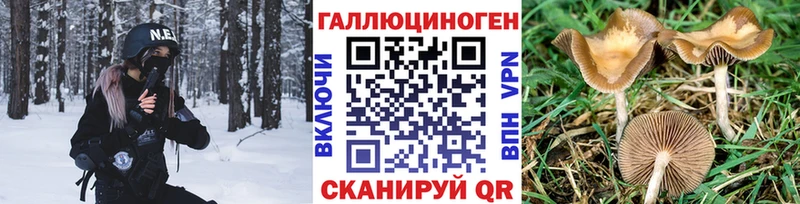 Псилоцибиновые грибы Psilocybe  hydra   Ленинск-Кузнецкий  хочу  